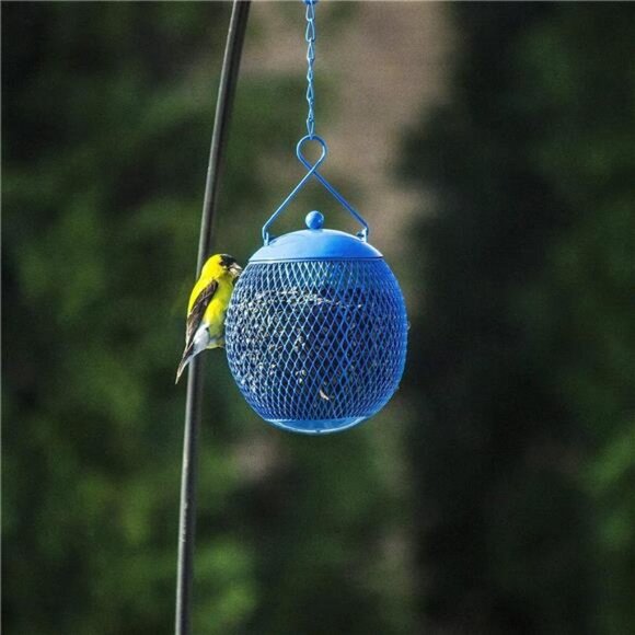 Set of 3 Squirrel Proof Bird Feeders for Outside - Bonus Ebook & Bird Attraction - Picture 2 of 6